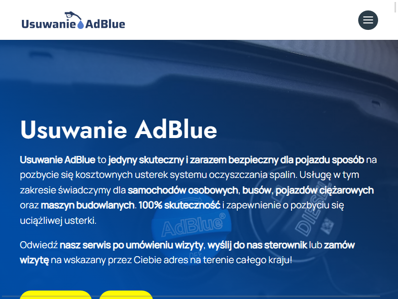 wyprogramowanie adblue